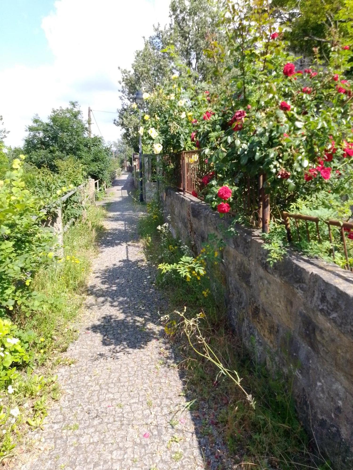 Dresden-Entspannung-Natur-Trifft-2-Staedte-Am-Fluss Extérieur photo